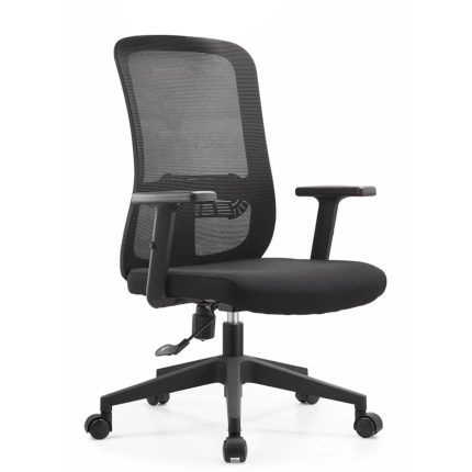 Fauteuil Sénateur  LUCY