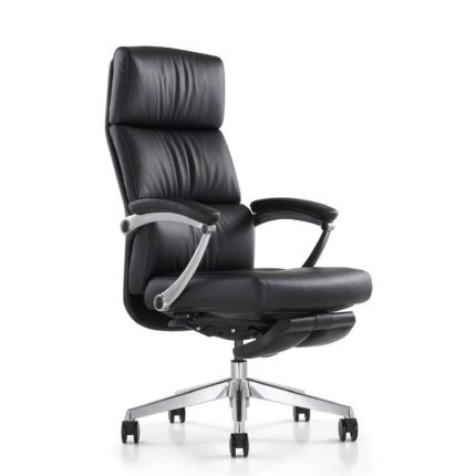 Fauteuil président LION