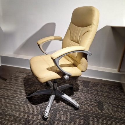 Fauteuil président APOLO